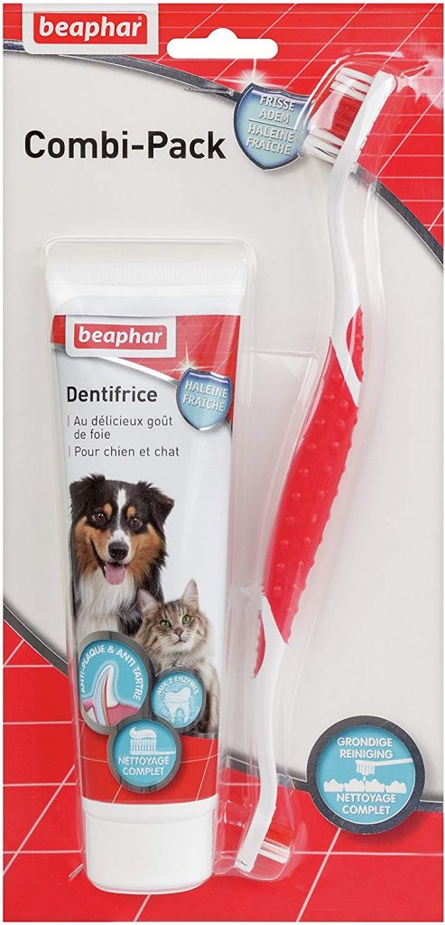 pasta dental y cepillo para perro