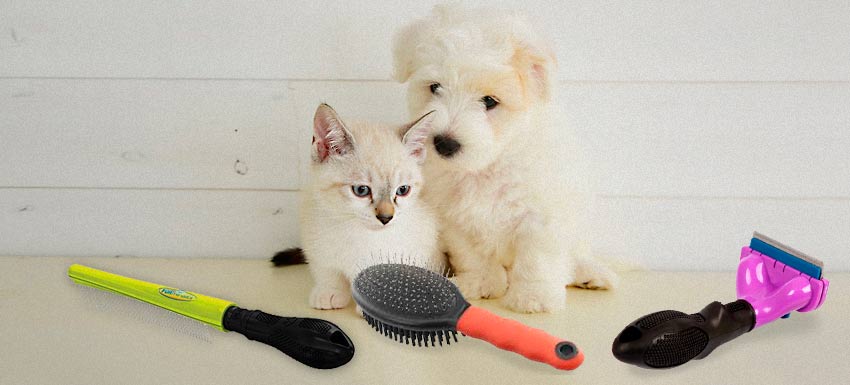cepillo para mascotas